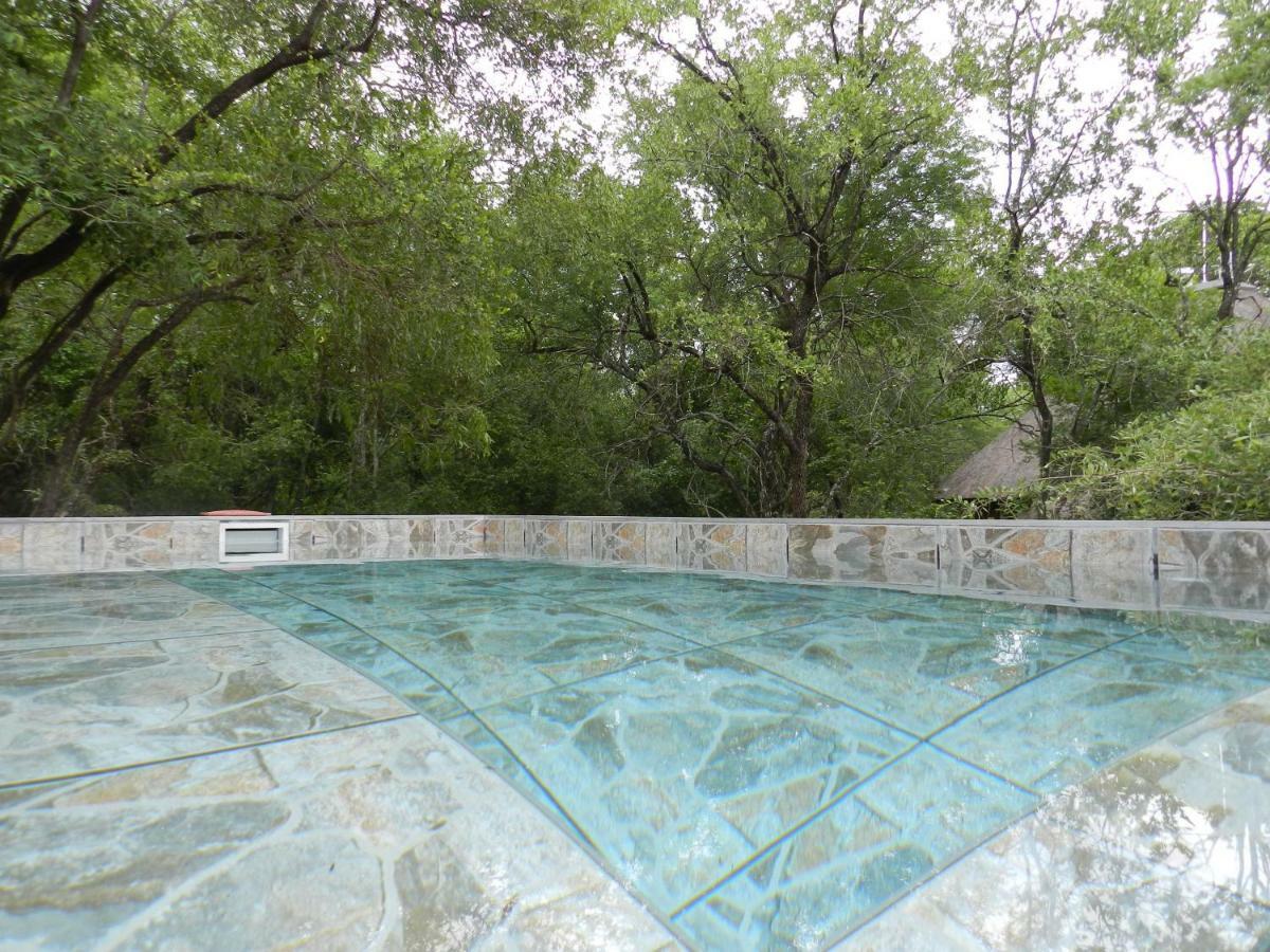 Buffalo Marloth Park Exterior photo